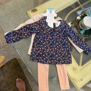 Carters set brand new size 3T